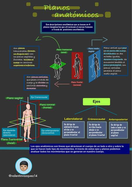 Planos anatómicos