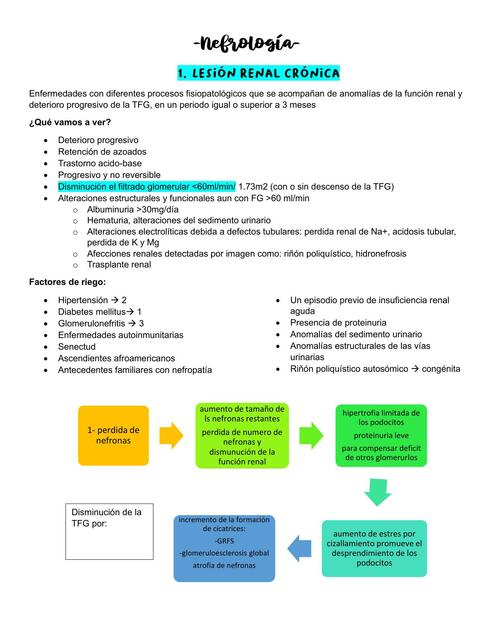 Lesión renal crónica