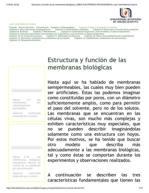 Membrana biológica, composición, estructura y función