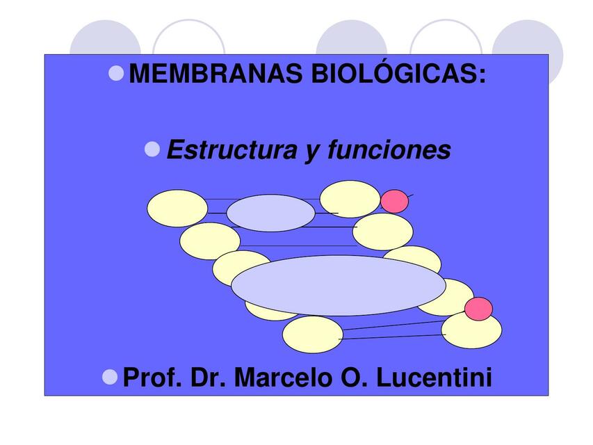 Membrana biológica, composición, estructura y función