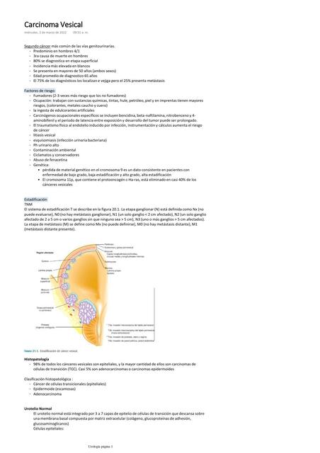 Carcinoma Vesical