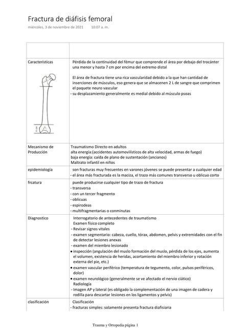 Fractura de diáfisis femoral