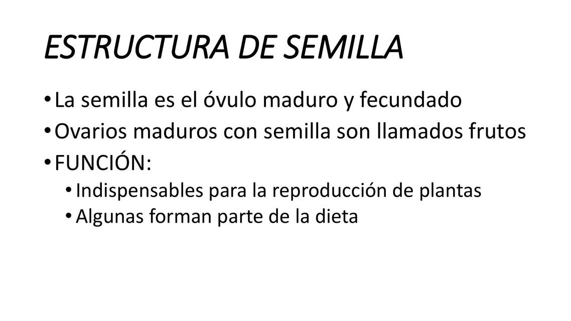 Estructura de semilla