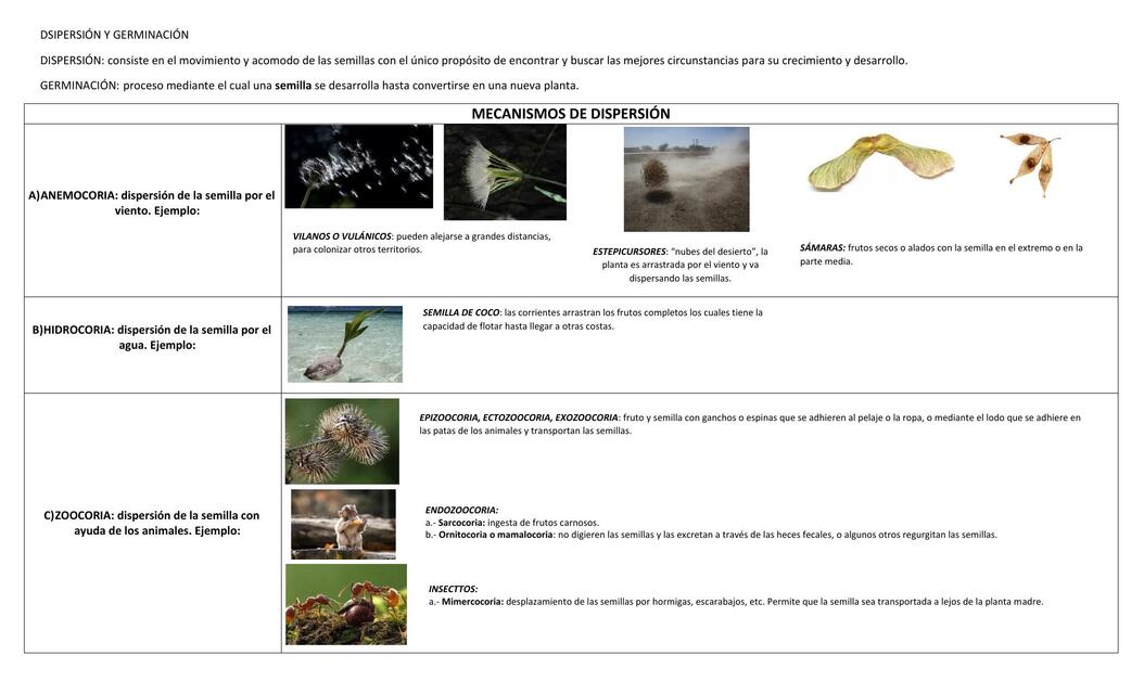 Dispercion y germinacion