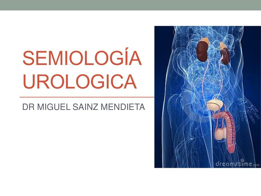 Semiologia urologica