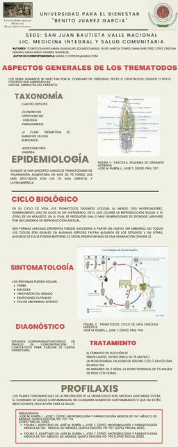 Infografía de los trematodos 