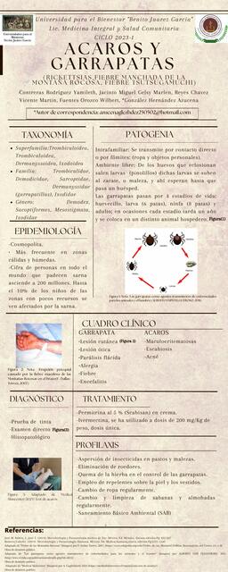 Infografía de ácaros y garrapatas 