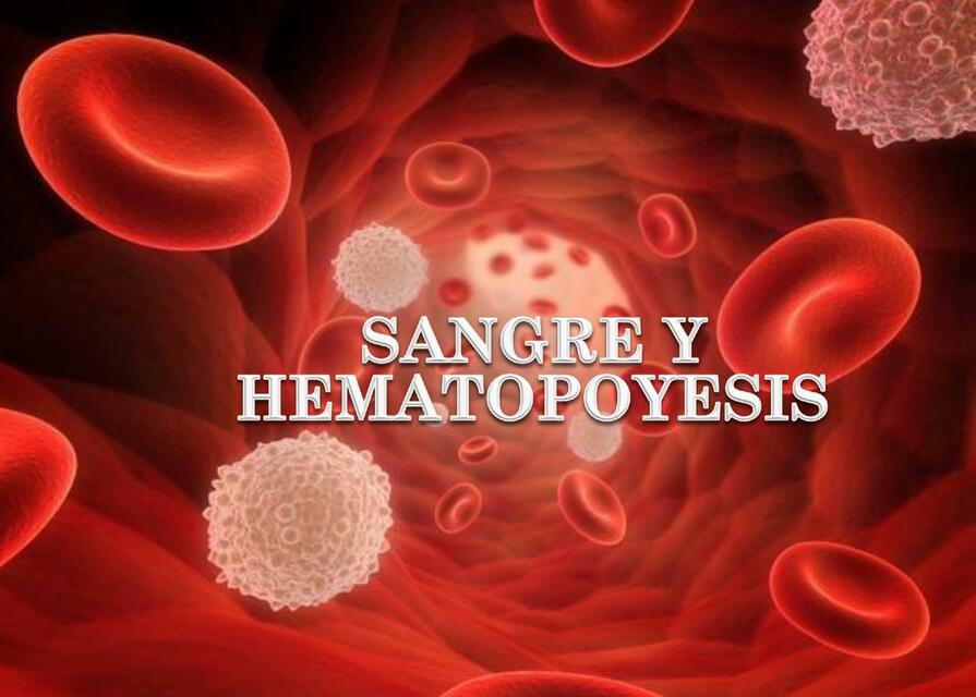 Histología, sangre y hematopoyesis