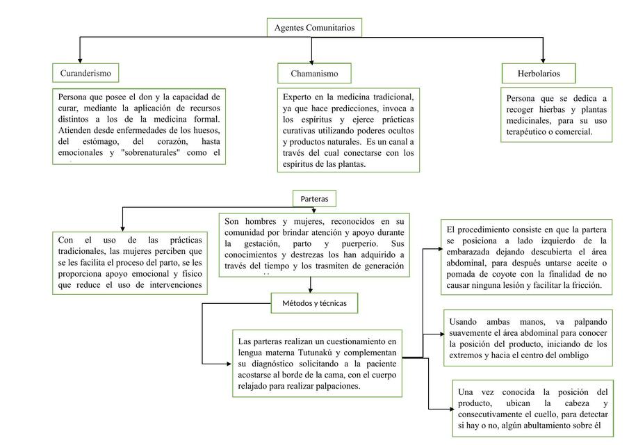 Mapa Conceptual Medicina Natural