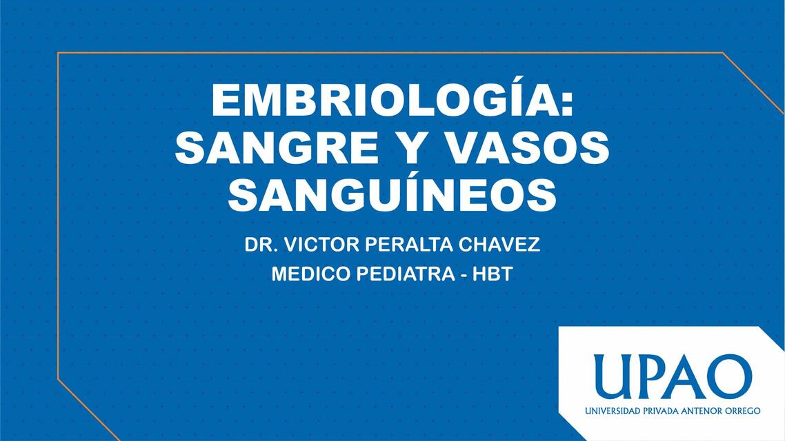 Embriologia: sangre y vasos sanguineos