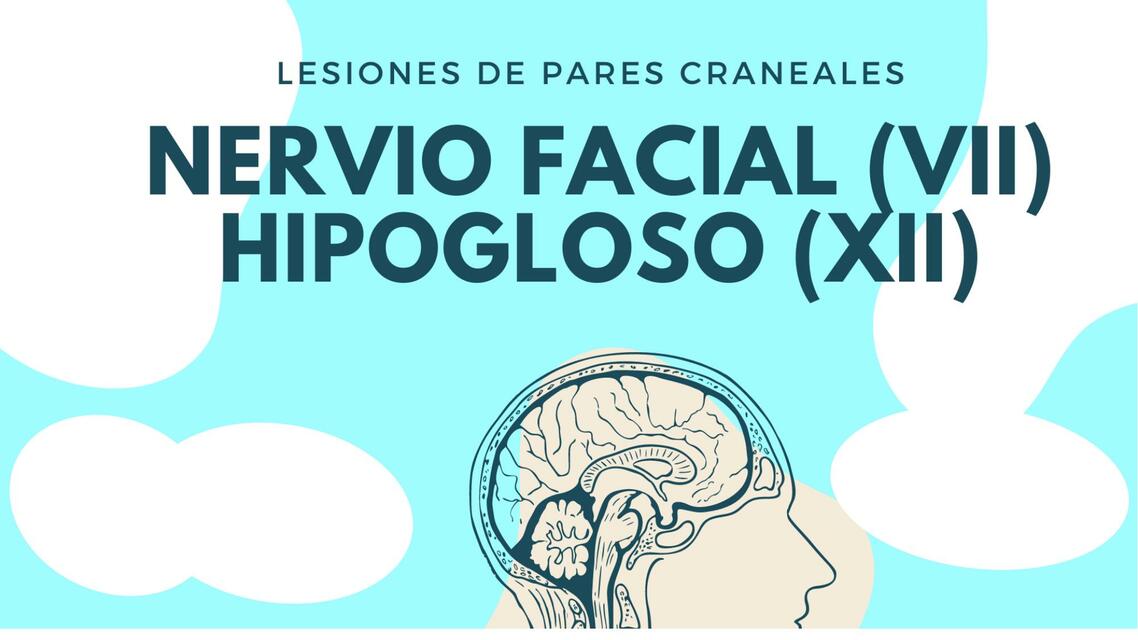 Lesiones de pares craneales: Facial e Hipogloso