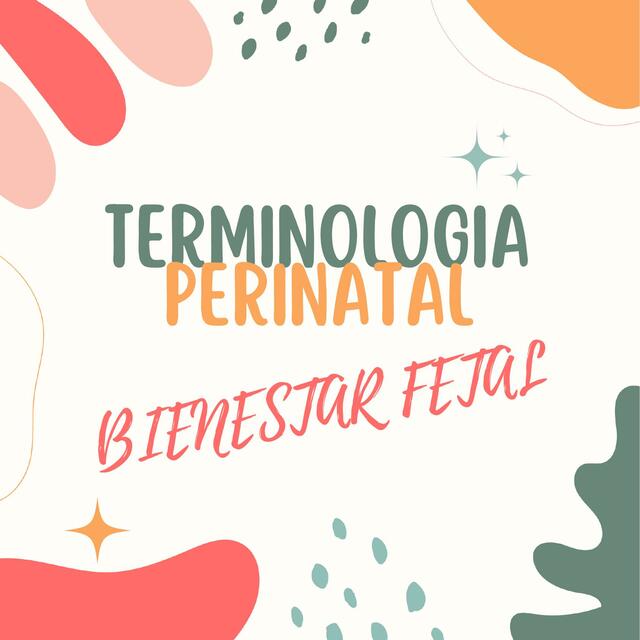 Terminologia perinatal