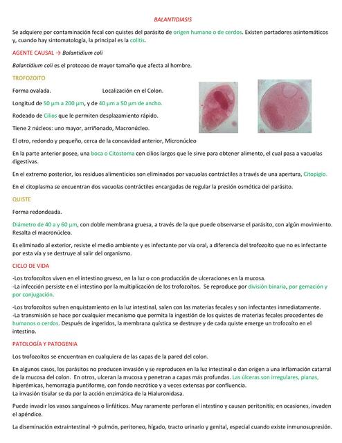 BALANTIDIASIS