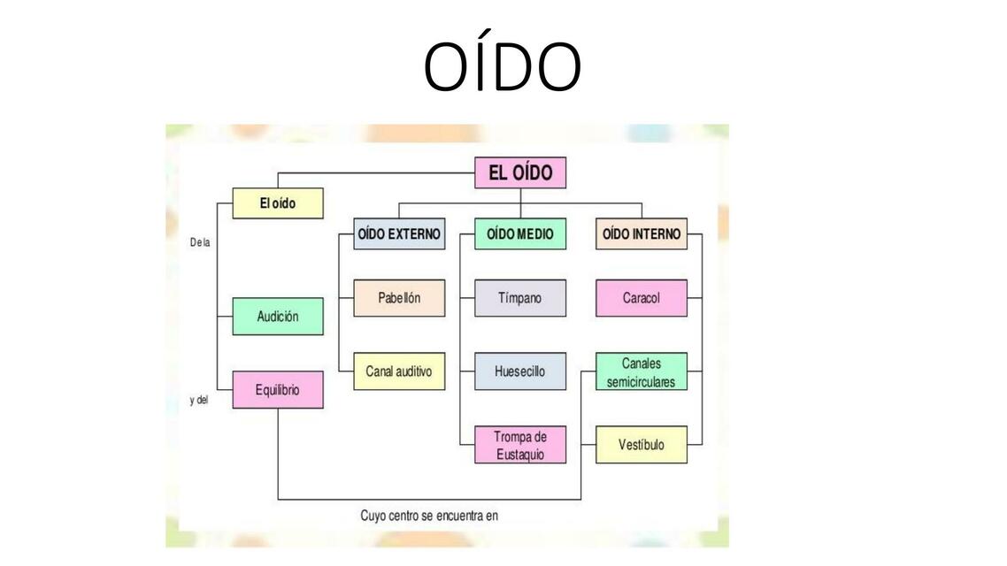 Oído 