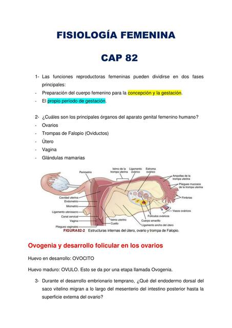 Resumen Fisiología Femenina