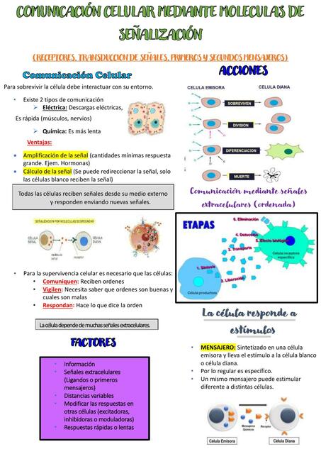 Comunicación Celular Mediante Molecular de Señalización 