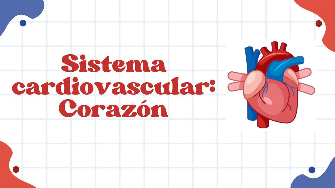 Sistema Cardiovascular: Corazón 