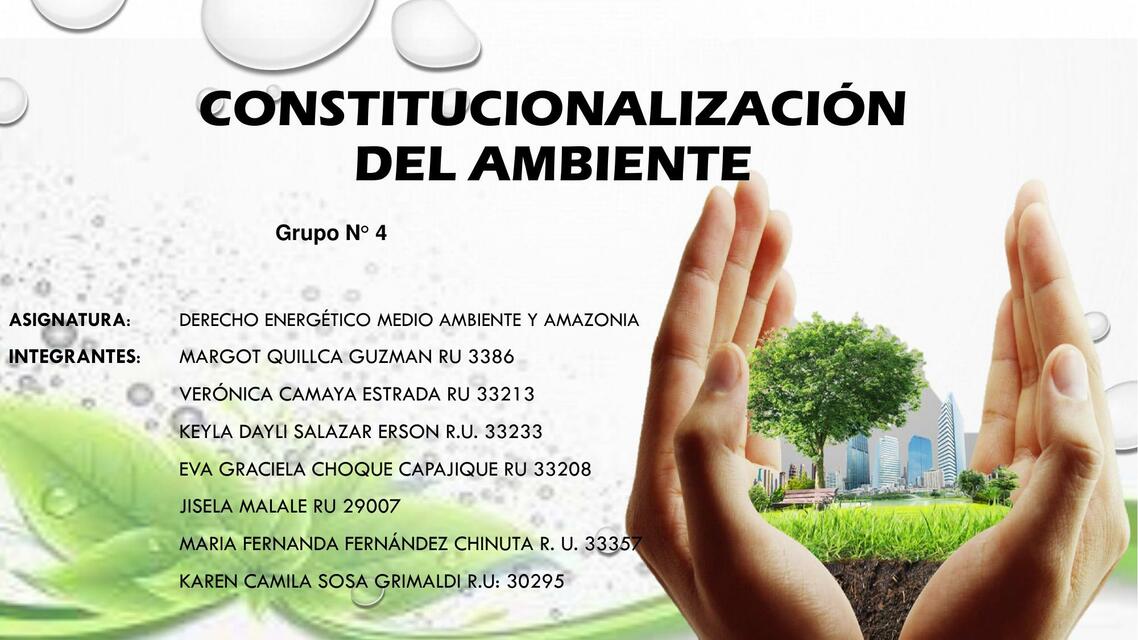 Constitucionalización del Ambiente 