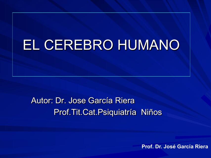 El Cerebro Humano 