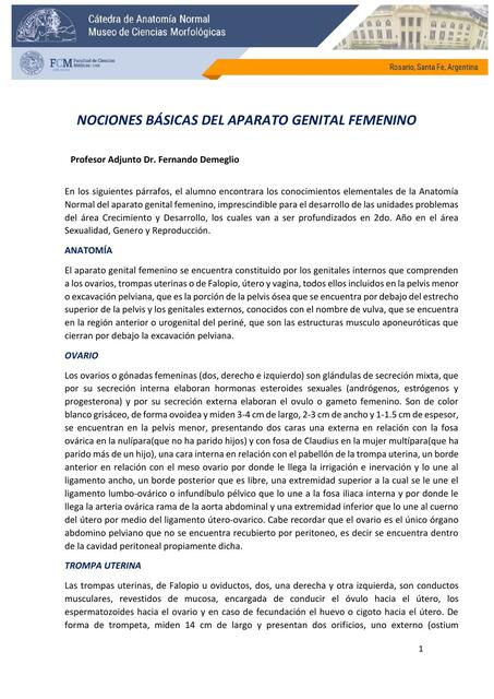 Nociones Básicas del Aparato Genital Femenino 