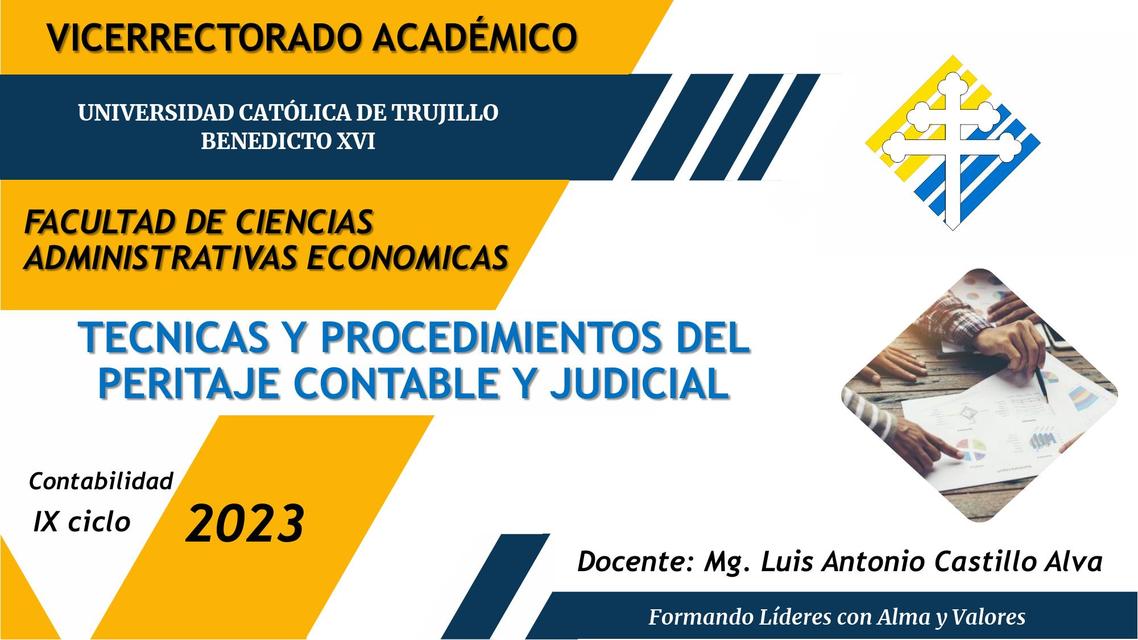 Técnicas y procedimientos del peritaje contable y judicial 