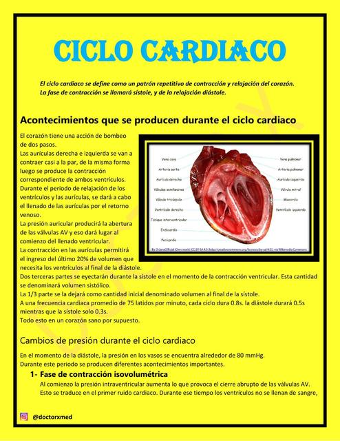 CICLO CARDIACO- FISIOLOGIA