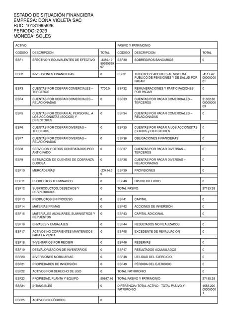 Estado de Situación Financiera 