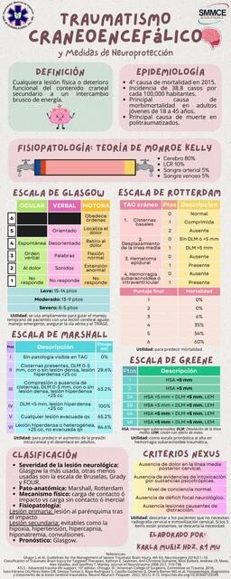 Traumatismo Craneoencefálico y Medidas de Neuroprotección 