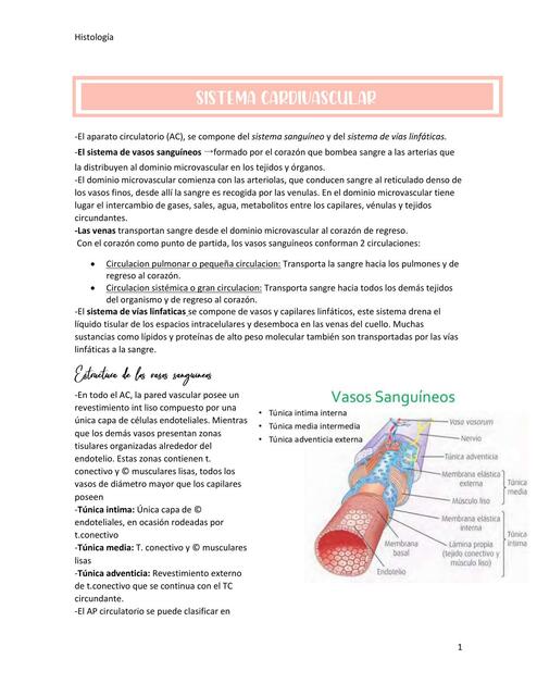 Mitologista  -Cardivascular-UABP 2-TTL