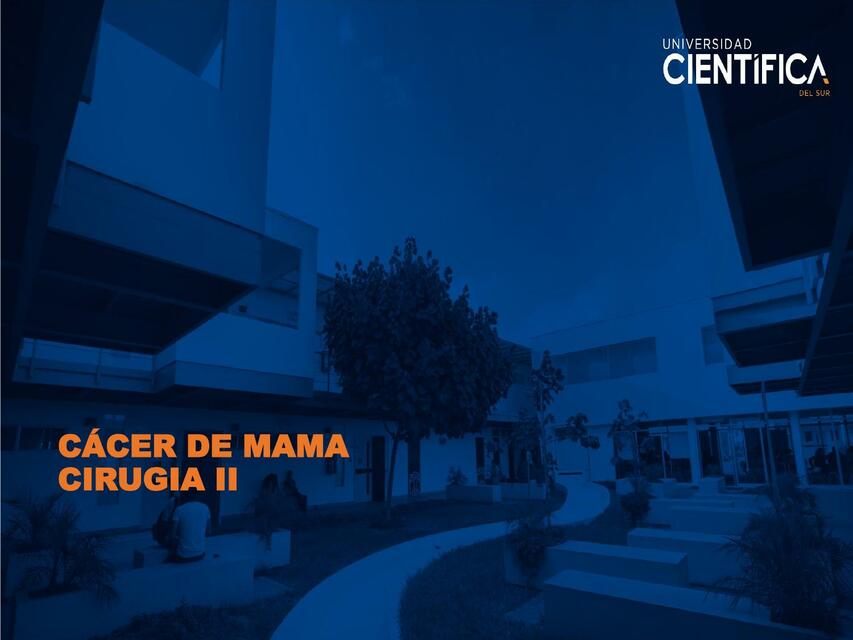 Cáncer de Mama 