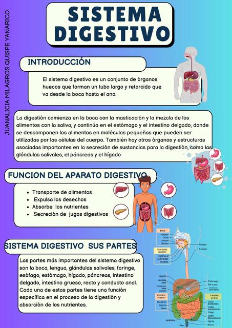 Sistema Digestivo 