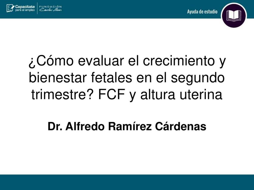 Cómo evaluar el crecimiento y bienestar fetal 