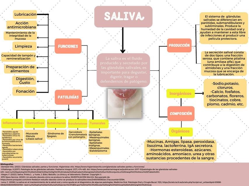 Saliva 