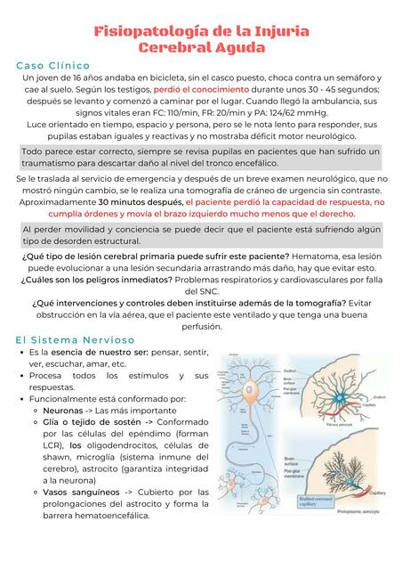 Fisiopatología de la injuria cerebral aguda | Futuro Doctor | uDocz