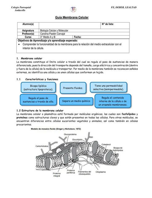 Guía mecanismos de transporte