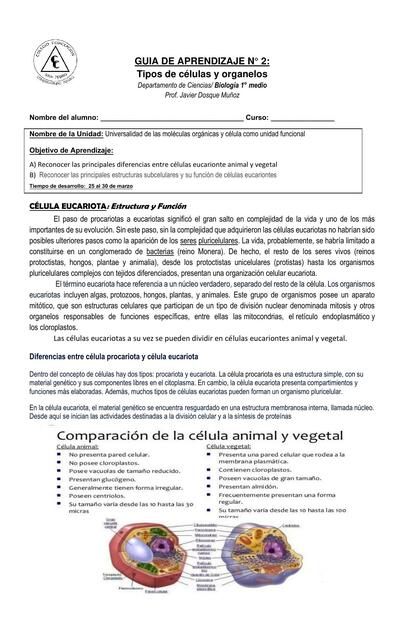 Biología Guía 2 Célula y organelos