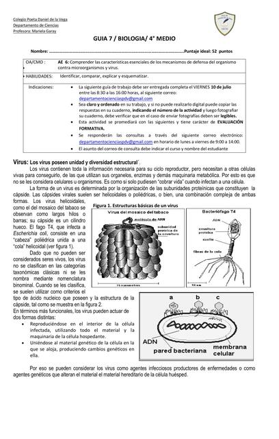 Guía de bilogía: virus