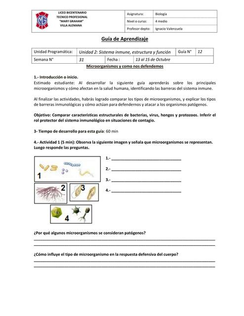 Sistema Inmune Estructura y Función