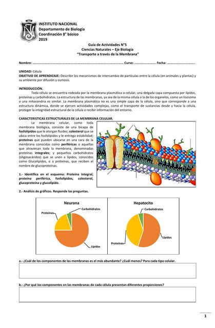 Biología Guía 1 Membrana y Transporte Ciencias Naturales 