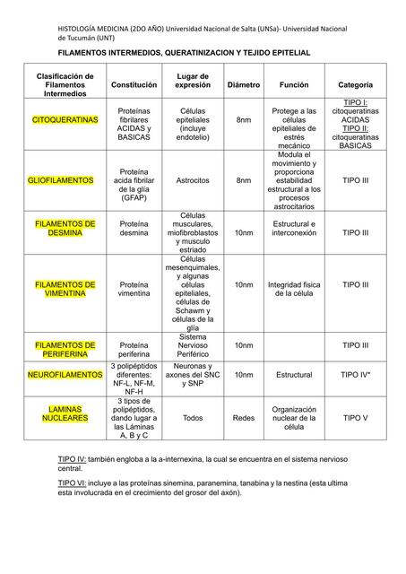 Filamentos Intermedios, Queratinización y Tejido Epitelial