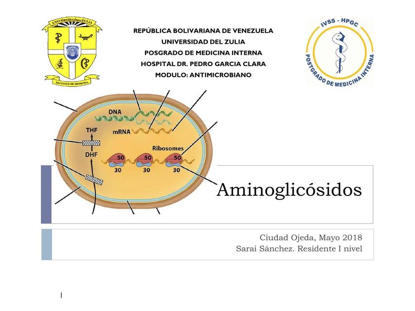 Aminoglicósidos  