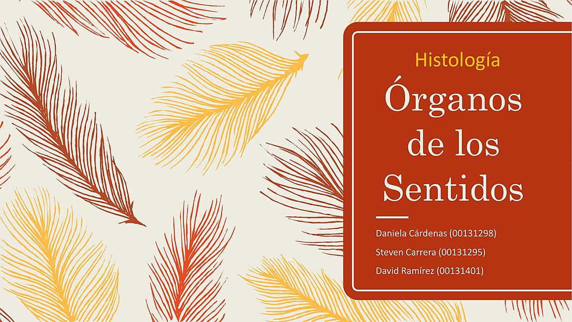 Histología Órganos de los sentidos