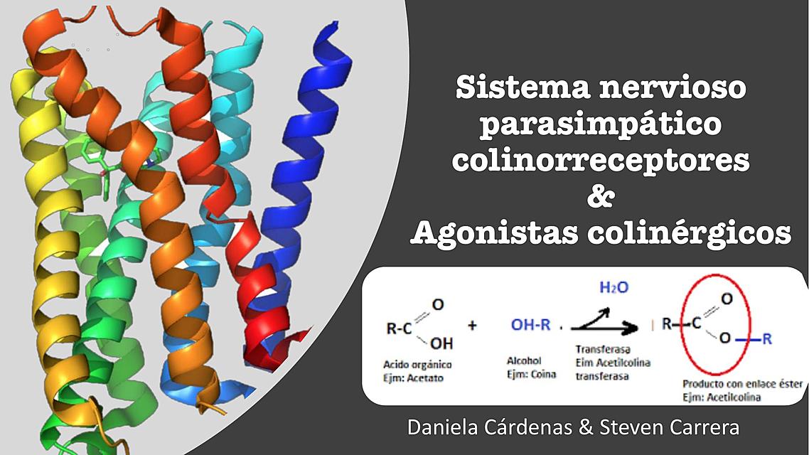 Farmacos agonistas colinérgicos