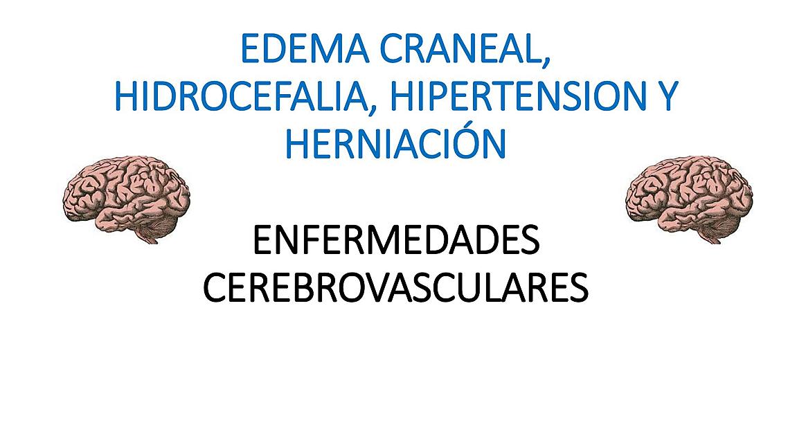 Patología de Edema y ECV