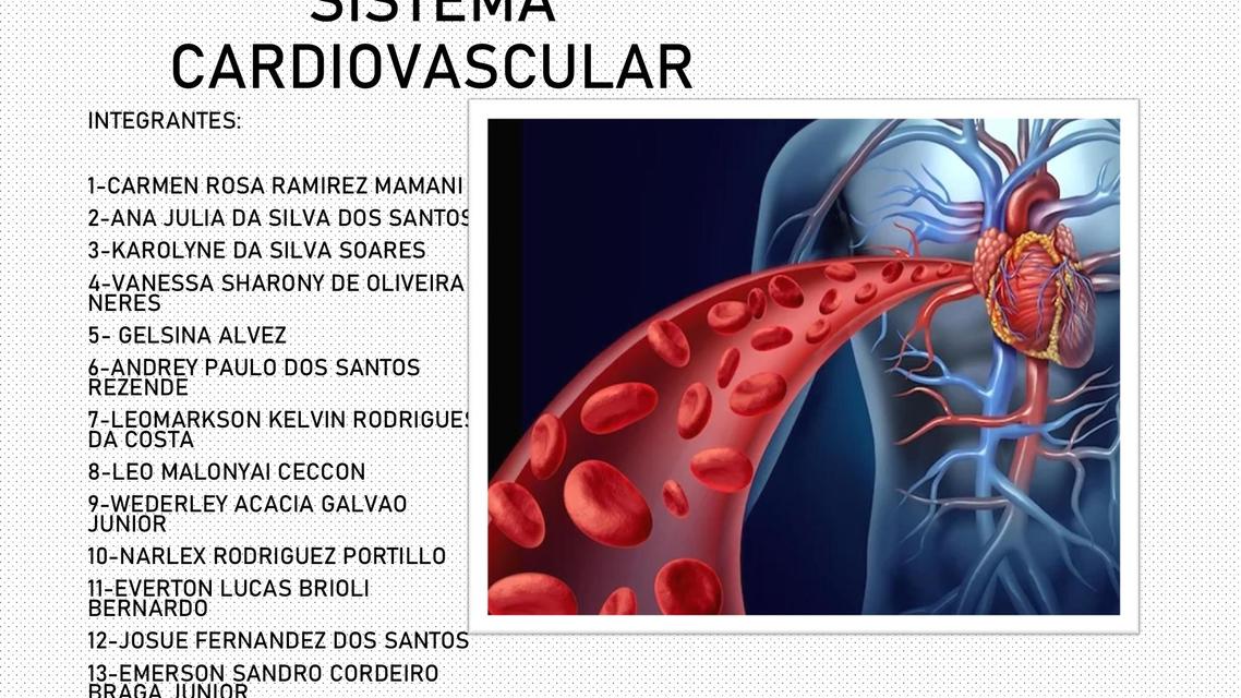 Sistema Cardiovascular 