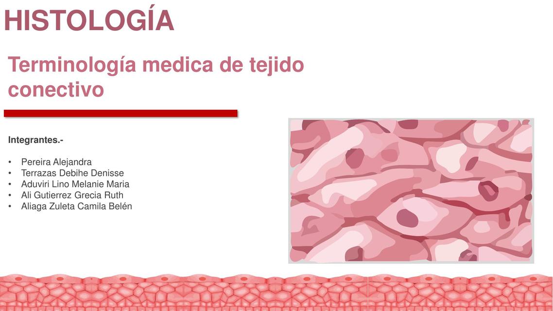 Terminologia medica de tejido conectivo 