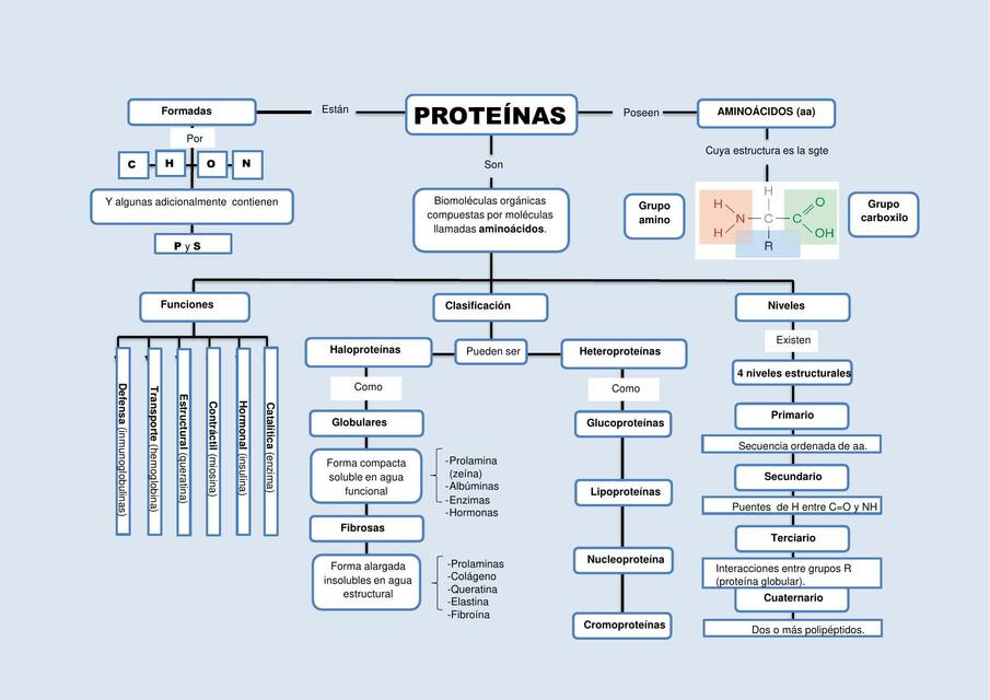 Mapa Conceptual De Las Proteínas Andrea Roca Udocz 7747