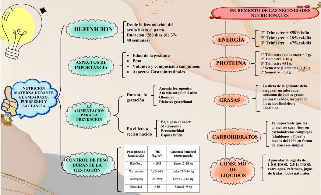 Nutrición materna 