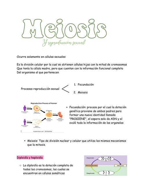 Meiosis 