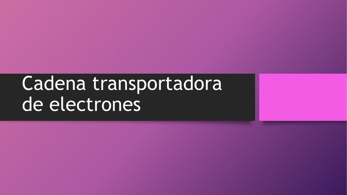 Cadena transportadora de electrones